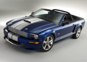 Shelby Shelby GT Convertible